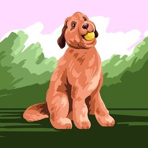 Meet your Posher, Joanna